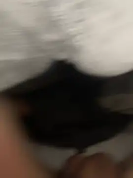 Snapshot of luisestrada003 chatting on January 15, 2026, 8:40 am luisestrada003 online show from January 15, 2026, 8:40 am