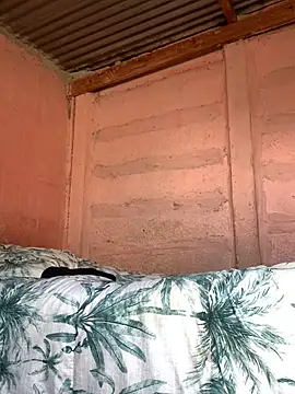 taitaimont online show from February 13, 2026, 12:16 pm