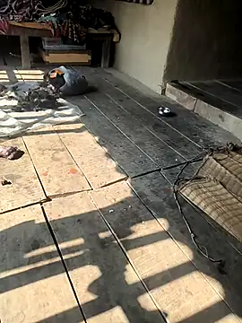 sujase online show from January 16, 2026, 6:39 am