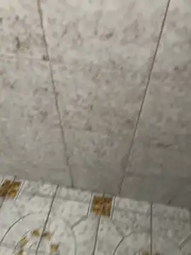 Kalisto2026 online show from March 6, 2026, 3:40 pm