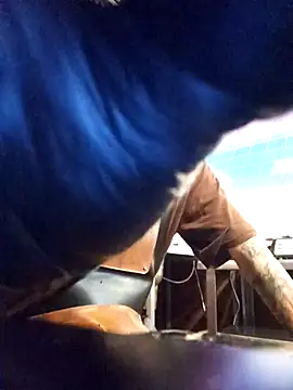 blackninja66 online show from March 13, 2026, 2:27 am