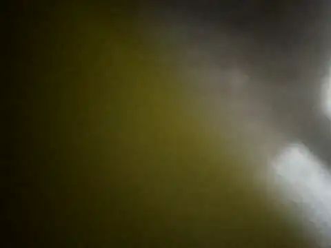 TU PITUDO FAV BB 19CM online show from February 4, 2026, 3:18 pm