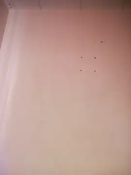 Snapshot of _aish_a chatting on March 19, 2026, 8:09 pm aish a online show from March 19, 2026, 8:09 pm