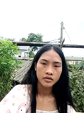 Hoa-tuylip online show from July 29, 2026, 7:18 am