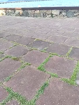 Snapshot of Gustavo52367 chatting on February 20, 2026, 7:27 pm Gustavo52367 online show from February 20, 2026, 7:27 pm