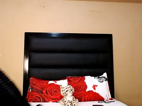 Snapshot of AppleAsss chatting on February 11, 2026, 9:14 pm AppleAsss online show from February 11, 2026, 9:14 pm