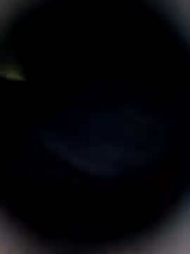 Snapshot of Bengal_Tiger420 chatting on February 24, 2026, 10:32 pm Bengal Tiger420 online show from February 24, 2026, 10:32 pm