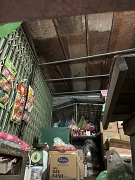 YANINA120 online show from February 6, 2026, 11:45 pm