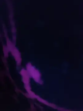 Snapshot of LustyDanky chatting on March 22, 2026, 5:25 pm LustyDanky online show from March 22, 2026, 5:25 pm