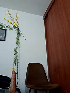 Snapshot of Luis_prince_ chatting on February 3, 2026, 6:24 pm Luis prince online show from February 3, 2026, 6:24 pm