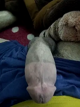 Snapshot of amirMohamed58 chatting on February 23, 2026, 9:26 pm amirMohamed58 online show from February 23, 2026, 9:26 pm