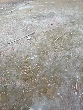 andresj22hot online show from April 7, 2026, 11:45 am