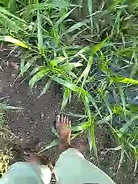 Cute Boy 4 online show from April 6, 2026, 2:40 am