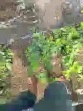 Cute Boy 4 online show from July 16, 2026, 4:31 am