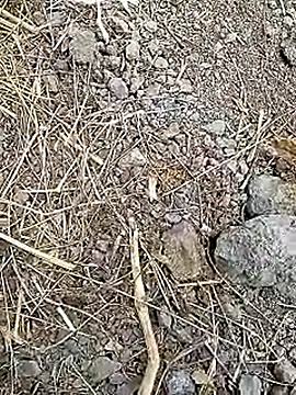 Cute Boy 4 online show from April 8, 2026, 7:32 am