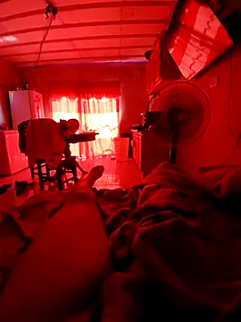 Snapshot of elvergon23139 chatting on February 8, 2026, 2:15 pm elvergon23139 online show from February 8, 2026, 2:15 pm