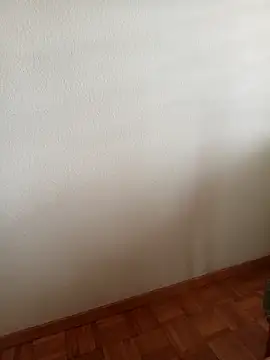 Snapshot of baipal74 chatting on February 19, 2026, 12:46 pm baipal74 online show from February 19, 2026, 12:46 pm