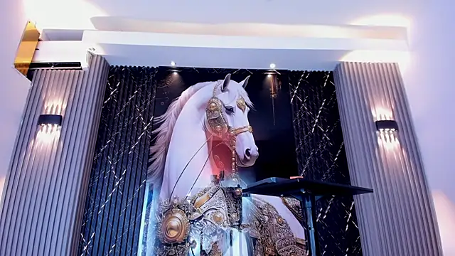 the knights of the night online show from February 28, 2026, 6:40 pm