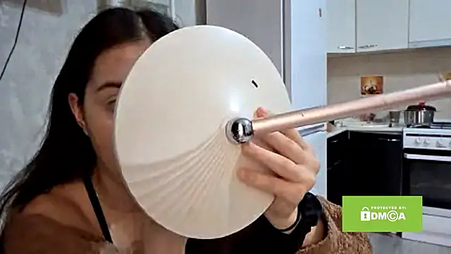 Snapshot of ZyntraLoom chatting on February 17, 2026, 12:46 pm ZyntraLoom online show from February 17, 2026, 12:46 pm