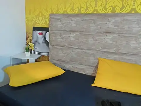 Snapshot of Geminis___ chatting on February 13, 2026, 11:16 pm Geminis online show from February 13, 2026, 11:16 pm