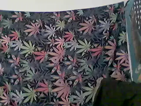libraxxxstudios online show from June 12, 2026, 12:36 pm