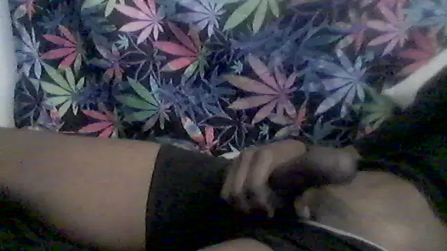 libraxxxstudios online show from June 7, 2026, 7:57 am