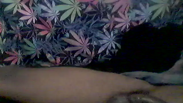 libraxxxstudios online show from June 9, 2026, 4:57 am