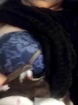 oxavector online show from February 3, 2026, 8:08 am