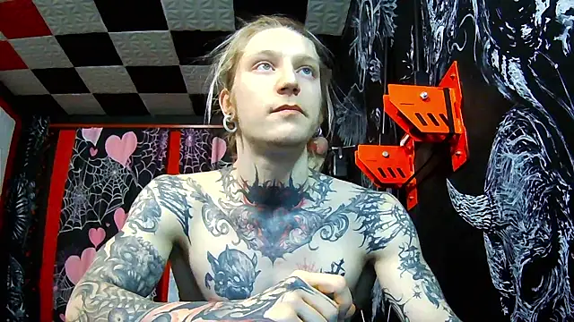 Snapshot of Elven_Damocles chatting on February 5, 2026, 2:13 pm Elven Damocles online show from February 5, 2026, 2:13 pm