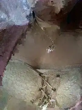 Snapshot of yuii-717 chatting on February 4, 2026, 2:45 pm yuii-717 online show from February 4, 2026, 2:45 pm