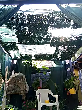 Snapshot of gordorichard chatting on February 21, 2026, 12:40 pm gordorichard online show from February 21, 2026, 12:40 pm