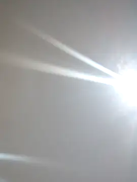 xnegritx online show from April 5, 2026, 4:30 am