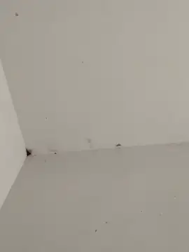 -for-you- online show from February 23, 2026, 11:44 am