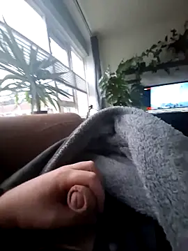 Snapshot of Bashard chatting on February 12, 2026, 7:41 am Bashard online show from February 12, 2026, 7:41 am