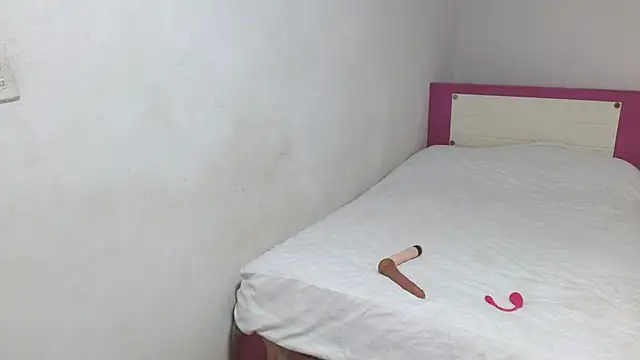 Snapshot of HELETRAS chatting on February 24, 2026, 10:05 am HELETRAS online show from February 24, 2026, 10:05 am