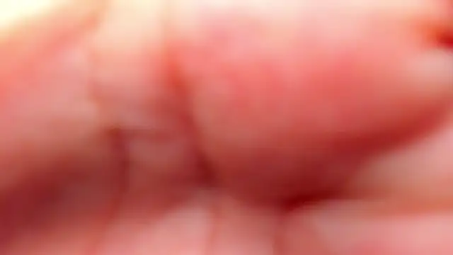 Snapshot of RinaFox__ chatting on February 21, 2026, 1:18 am RinaFox online show from February 21, 2026, 1:18 am