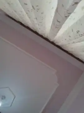 Snapshot of boraaily chatting on February 23, 2026, 8:04 am boraaily online show from February 23, 2026, 8:04 am