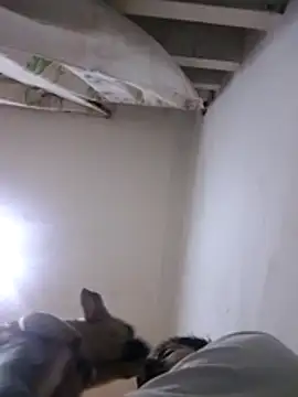 Snapshot of CubanoxxxSex chatting on February 12, 2026, 5:13 pm CubanoxxxSex online show from February 12, 2026, 5:13 pm