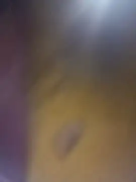 Snapshot of cuunon11 chatting on February 18, 2026, 12:08 am cuunon11 online show from February 18, 2026, 12:08 am