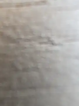 Snapshot of manish_8826 chatting on February 12, 2026, 8:47 am manish 8826 online show from February 12, 2026, 8:47 am