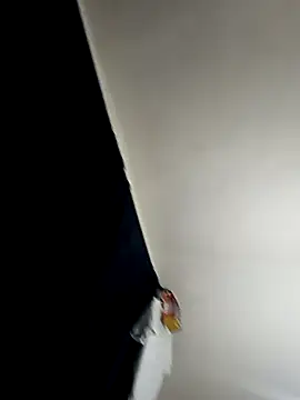 Snapshot of baby_22cm chatting on February 11, 2026, 1:38 am baby 22cm online show from February 11, 2026, 1:38 am