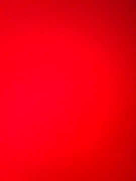 Snapshot of DocCock021 chatting on February 18, 2026, 9:44 pm DocCock021 online show from February 18, 2026, 9:44 pm