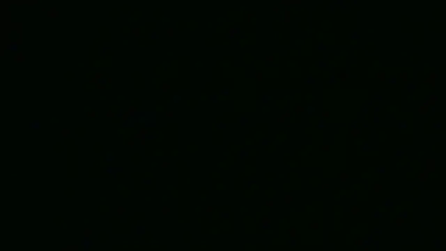 xxBabyDoll online show from March 30, 2026, 5:53 am