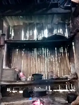 Snapshot of Nhoccon90 chatting on February 19, 2026, 4:31 am Nhoccon90 online show from February 19, 2026, 4:31 am