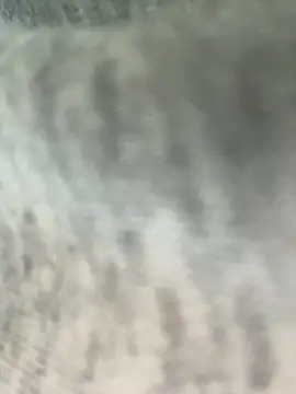 pussyeater - online show from March 8, 2026, 11:41 pm