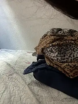 Snapshot of Moraguinho8 chatting on February 25, 2026, 11:43 am Moraguinho8 online show from February 25, 2026, 11:43 am