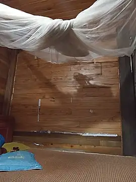 Td3di online show from June 24, 2026, 11:35 pm