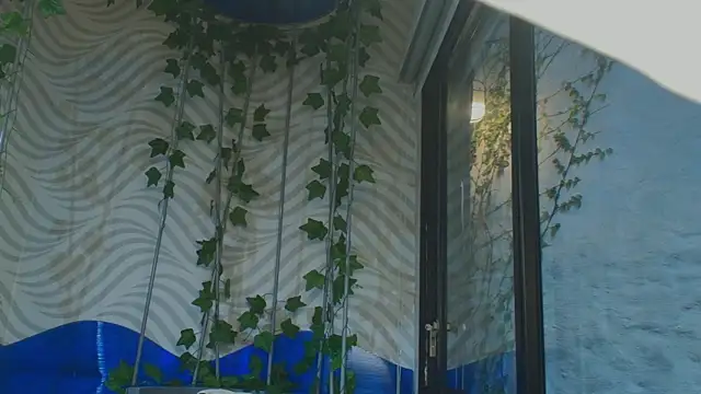 Snapshot of sophieBlair_ chatting on February 24, 2026, 7:04 pm sophieBlair online show from February 24, 2026, 7:04 pm