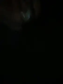 Femboysissy1919 online show from April 7, 2026, 1:18 am