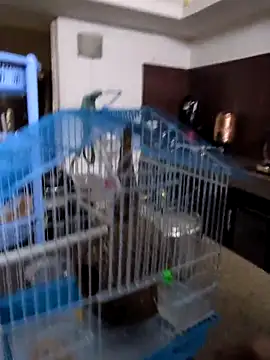 Snapshot of sexysilmy chatting on February 25, 2026, 8:36 am sexysilmy online show from February 25, 2026, 8:36 am